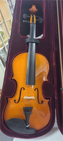 Violin (L)